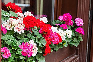 不要指望很快玩到《孤岛危机4》 游戏处于很早期阶段